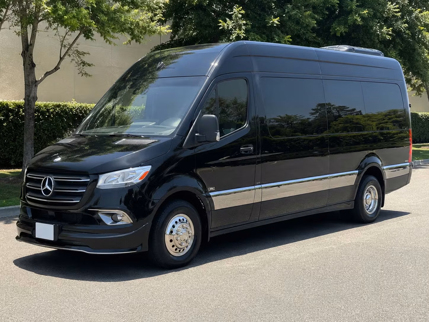 sprinter van with driver