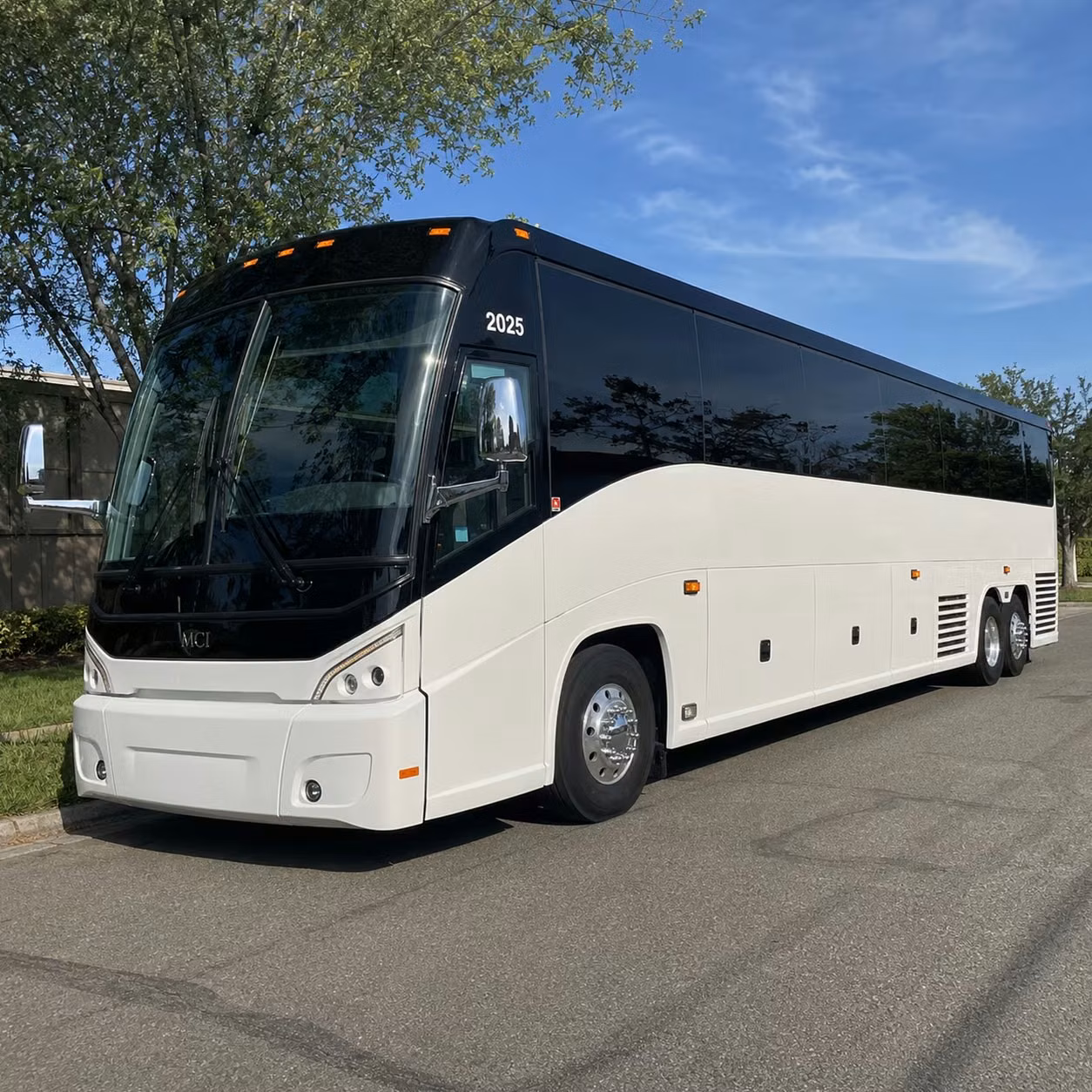traveling from hialeah to tampa or beyond compare your options first